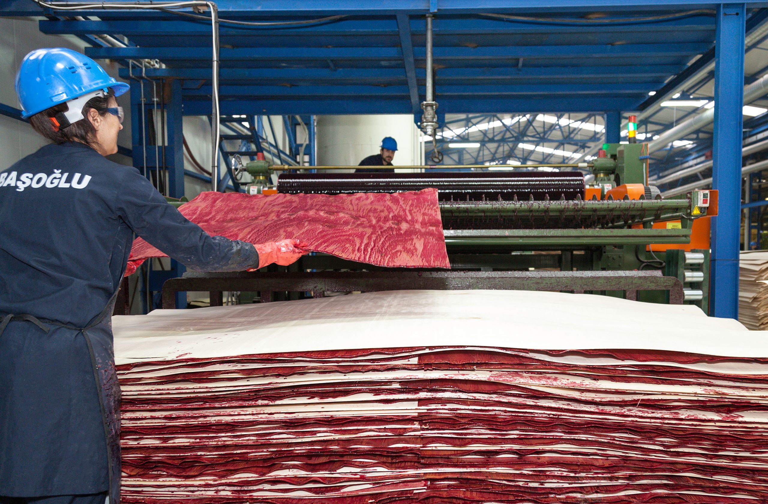 Başoğlu Orman- Productive Forest Products Manufacturer