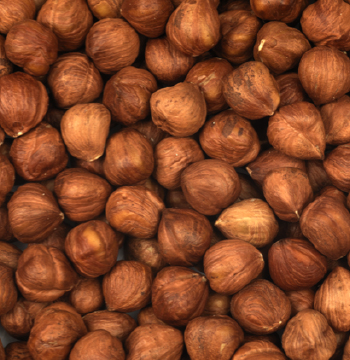Gürsoy Nuts Producer Company